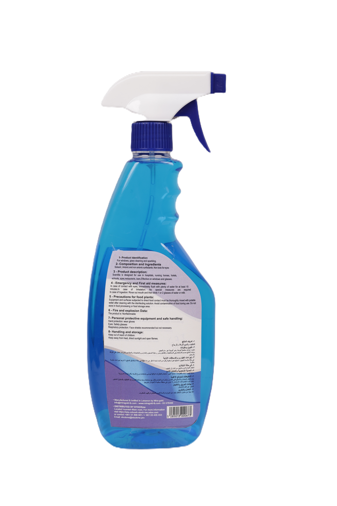 Glass Cleaner 650 cc