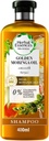Herbal Essences Shampoo Golden Moringa Oil 400ml - شامبو هيربال إسنسز بزيت المورينغا الذهبي