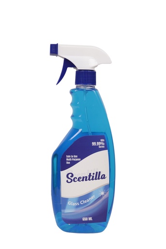 Glass Cleaner 650 cc-منظف الزجاج