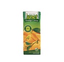 Carton Junet 200ml Orange Carrot / كرتون جونيت ليمون والجزر